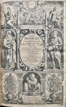 The Herball or Generall Historie of Plantes. Gathered by John Gerarde of London, Master in Chirurgerie. Very much Enlarged and Amended by Thomas Johnson Citizen and Apothecarye of London. by GERARDE, John [1545-1612]